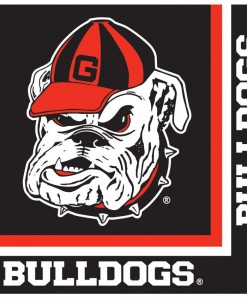Georgia Bulldogs - Lunch Napkins (20 count)