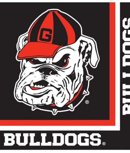 Georgia Bulldogs - Lunch Napkins (20 count)