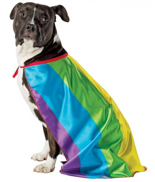 Rainbow Flag Cape Pet Costume