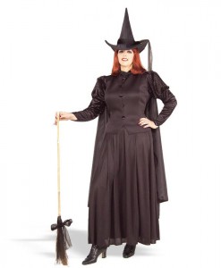 Classic Witch Adult Plus Costume