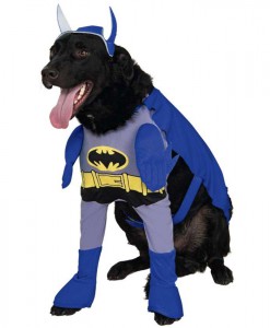 Batman Brave Bold Batman Dog Costume