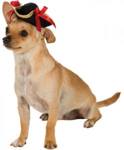 Pirate Dog Hat