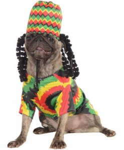Rasta Dog Costume