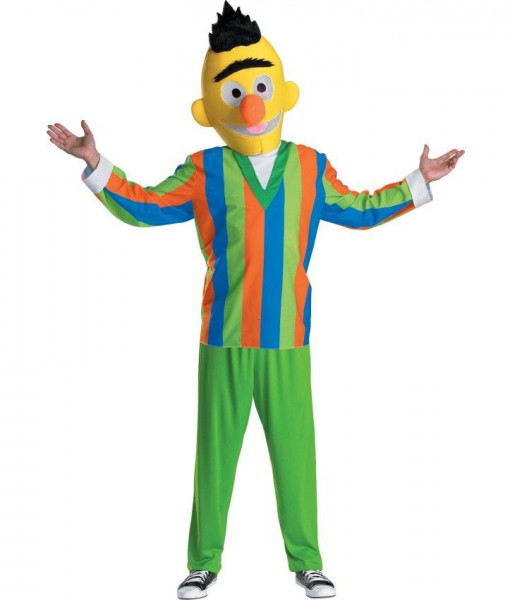 Sesame Street Bert Teen Costume