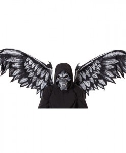 Fallen Angel Adult Mask and Wings Kit