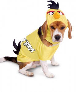 Rovio Angry Birds Yellow Bird Pet Costume