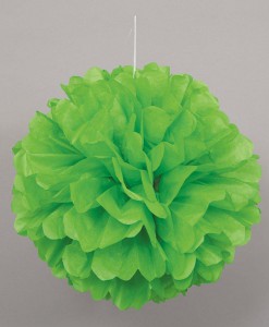 Green Hanging Puff Ball
