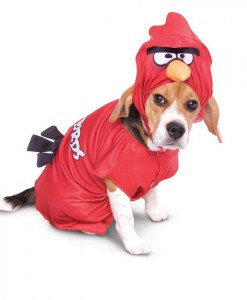 Rovio Angry Birds Red Bird Pet Costume