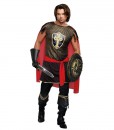 Adult King Of Swords Medieval Costume
