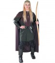 The Lord Of The Rings Legolas Adult Costume